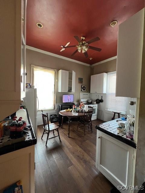 kitchen with a healthy amount of sunlight, white cabinetry, wood finished floors, and ornamental molding