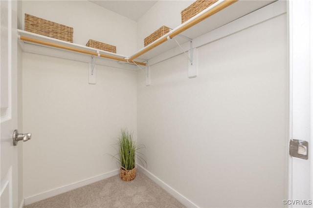 spacious closet with light carpet