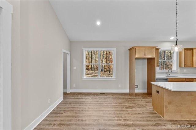 kitchen featuring stainless steel dishwasher, decorative light fixtures, sink, and light hardwood / wood-style flooring