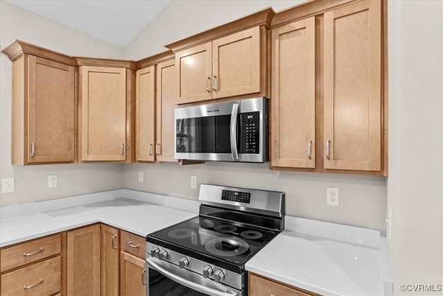 kitchen with vaulted ceiling and stainless steel appliances