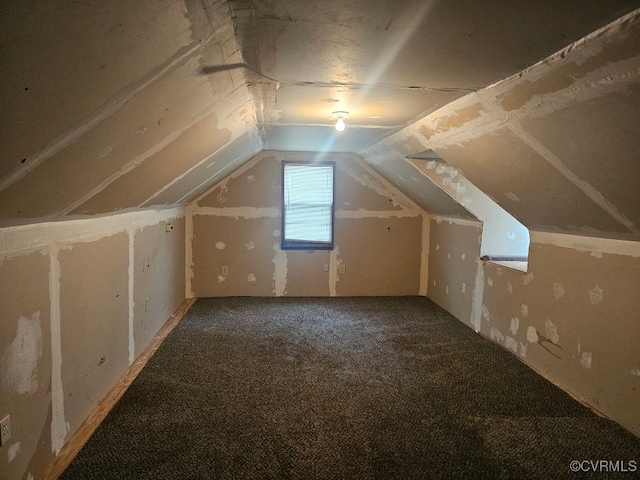 additional living space featuring carpet floors and lofted ceiling