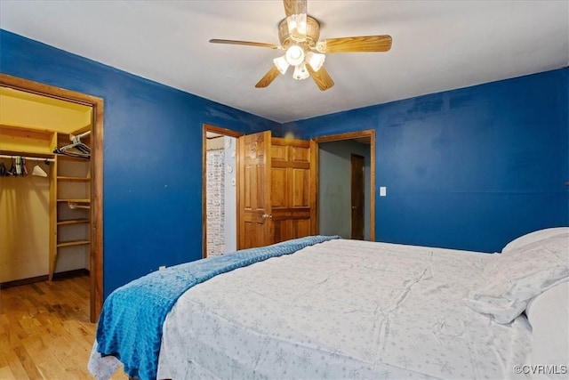 bedroom with hardwood / wood-style floors, a walk in closet, a closet, and ceiling fan