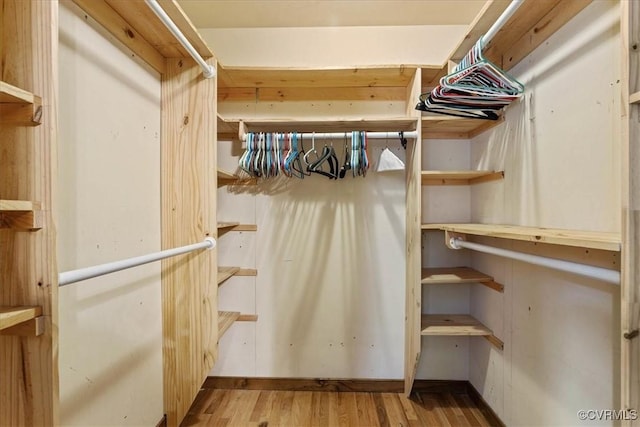 spacious closet with hardwood / wood-style floors