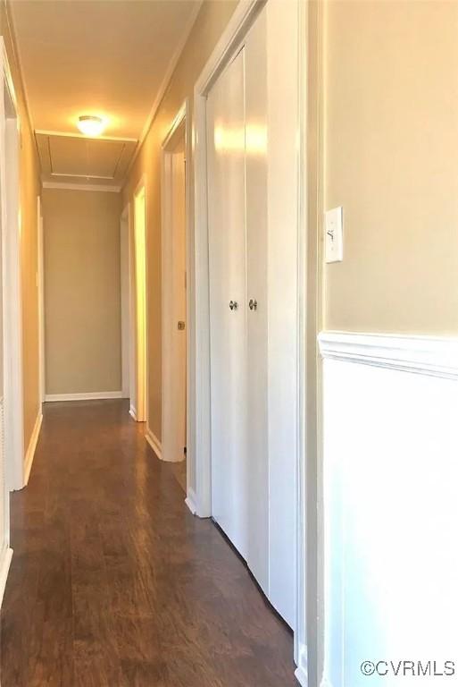 corridor with dark hardwood / wood-style flooring