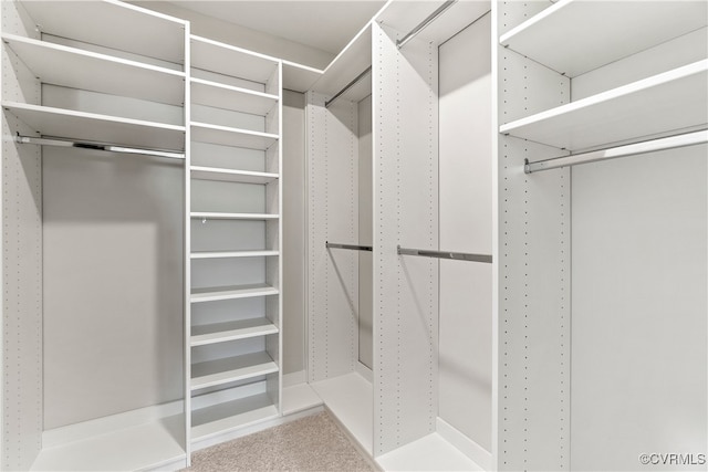 walk in closet with light colored carpet