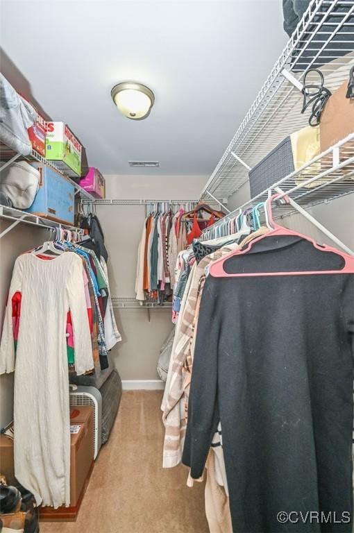 spacious closet featuring carpet