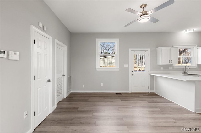 unfurnished dining area with ceiling fan, sink, and light hardwood / wood-style floors