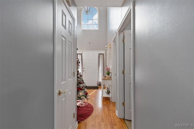 hallway with a high ceiling and light wood finished floors