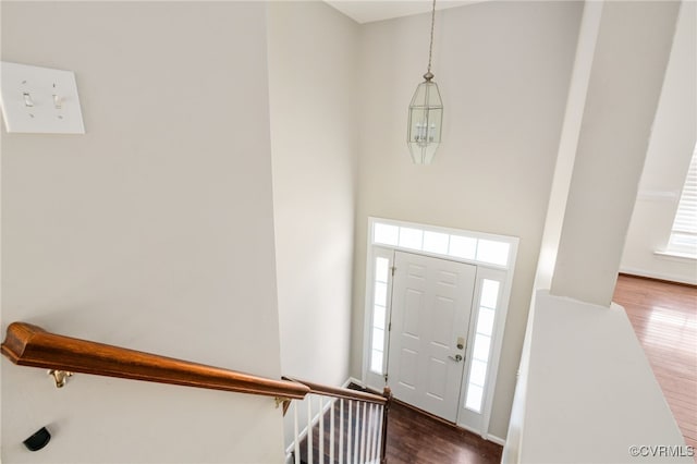 entrance foyer featuring dark hardwood / wood-style flooring, a towering ceiling, and a wealth of natural light