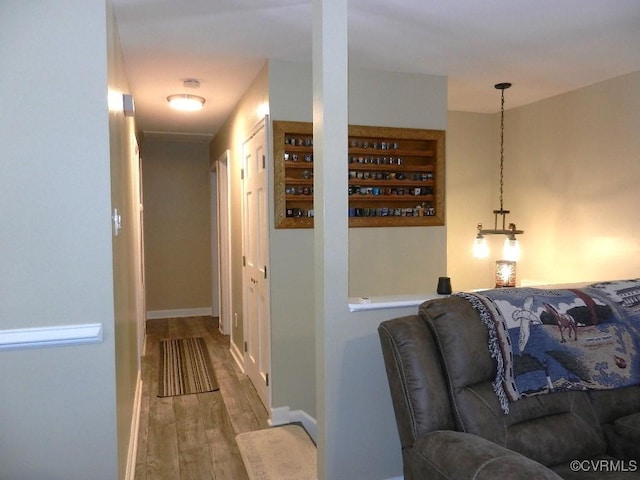 hall featuring wood-type flooring