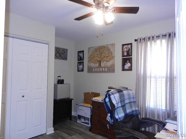 office with ceiling fan and dark hardwood / wood-style flooring