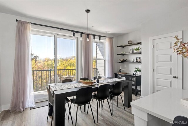 dining space with light hardwood / wood-style flooring