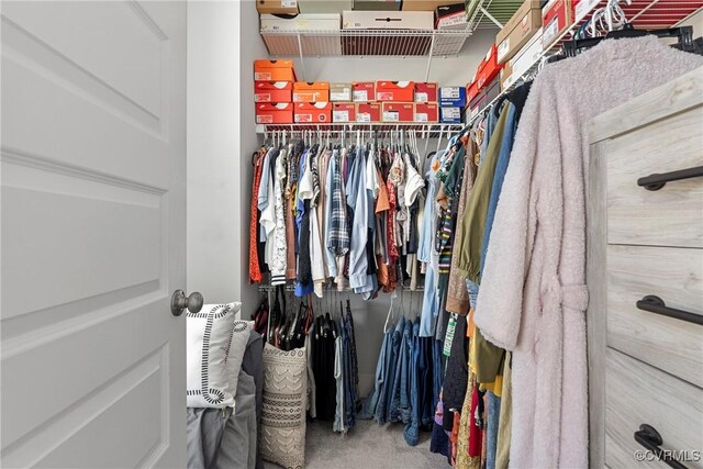 walk in closet featuring carpet flooring