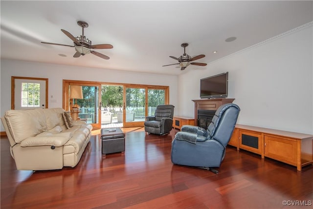 living room with ceiling fan, ornamental molding, and dark wood-type flooring