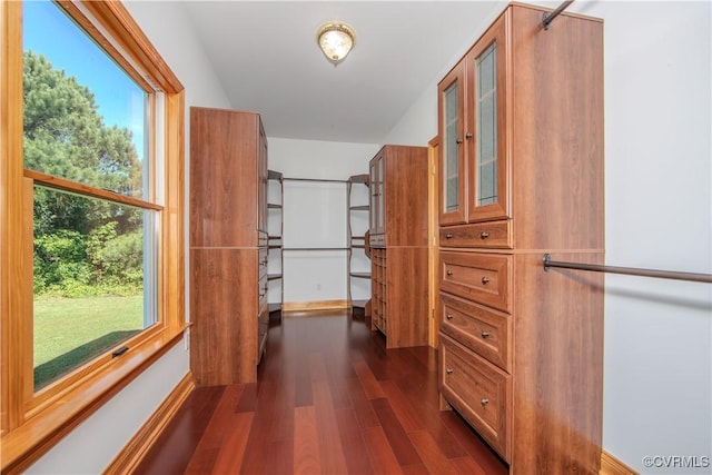 interior space featuring dark hardwood / wood-style floors