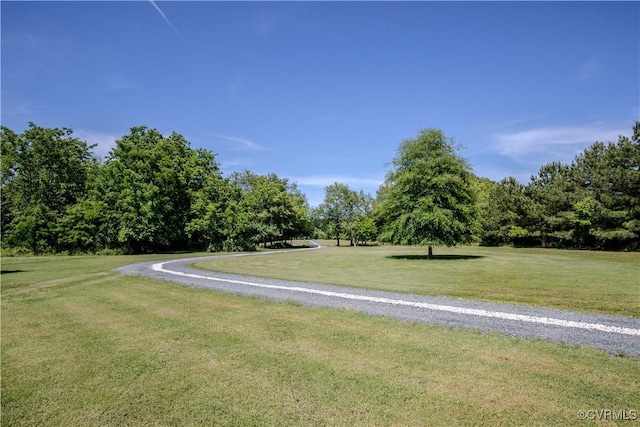 view of home's community with a yard