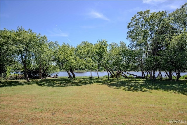 view of yard featuring a water view