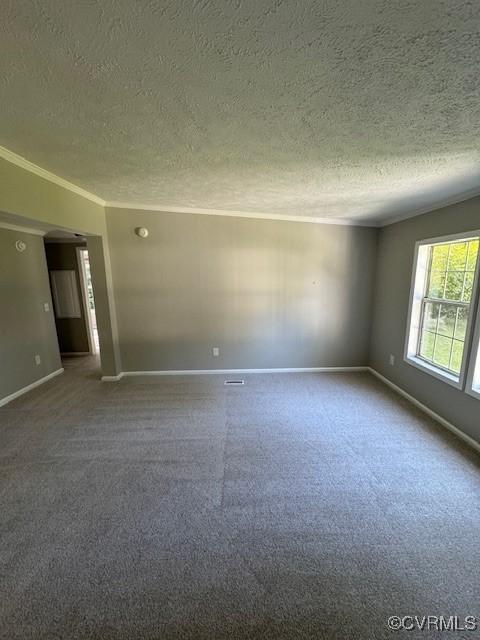 empty room with crown molding, carpet floors, and a textured ceiling