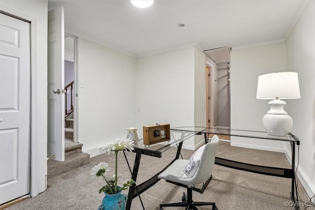 office area featuring carpet flooring and crown molding