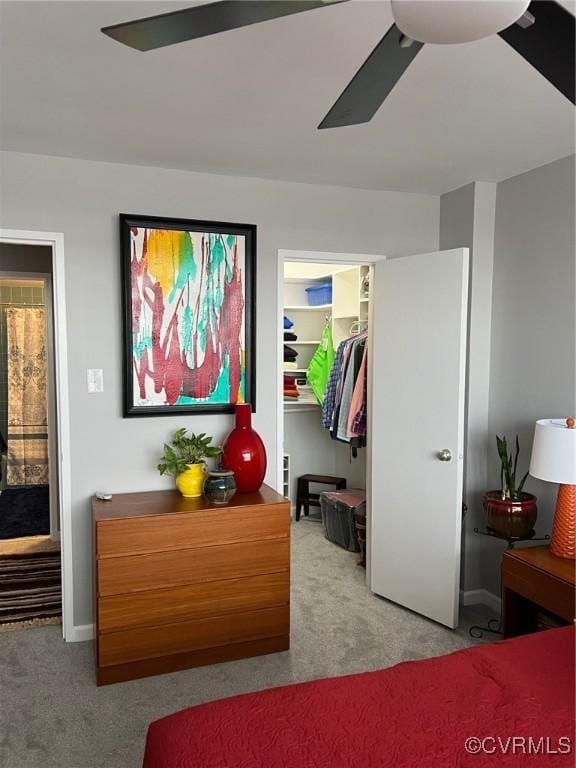 carpeted bedroom with ceiling fan, a walk in closet, and a closet