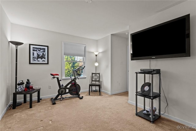 exercise area featuring light colored carpet