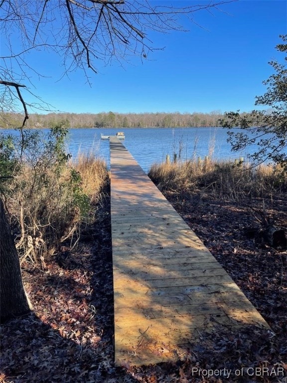 dock area featuring a water view