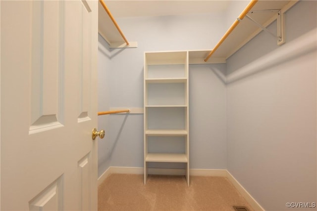 spacious closet with carpet flooring