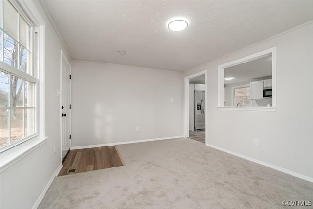 carpeted spare room featuring crown molding and a textured ceiling