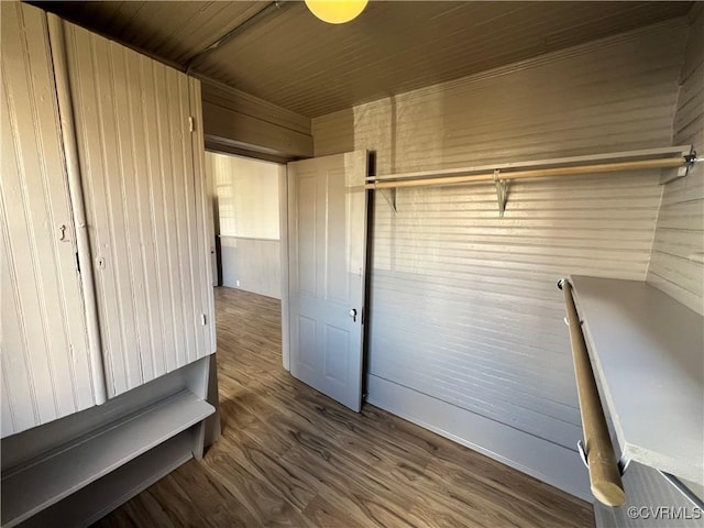 interior space featuring wooden walls and wood-type flooring