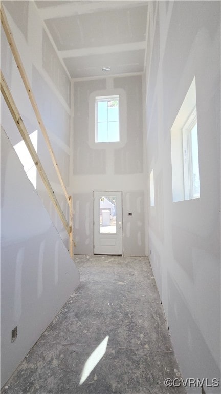 foyer with a high ceiling