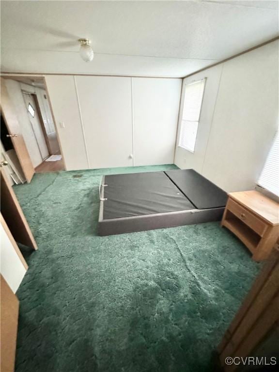 unfurnished bedroom featuring carpet floors