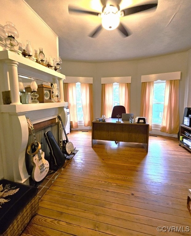 interior space featuring light hardwood / wood-style flooring and ceiling fan