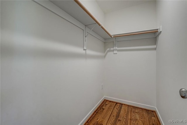 walk in closet with hardwood / wood-style floors