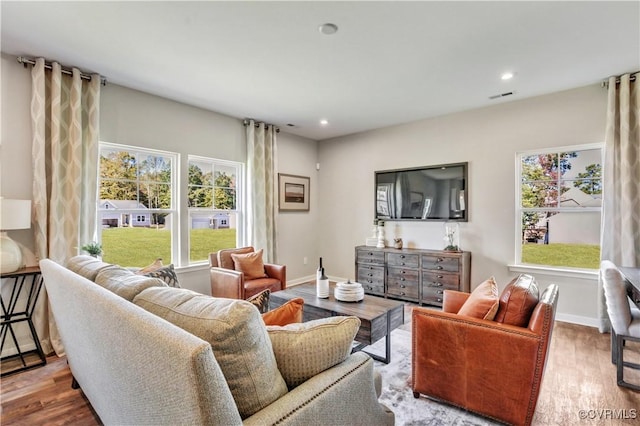 living room with wood-type flooring