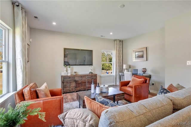 living room with wood-type flooring