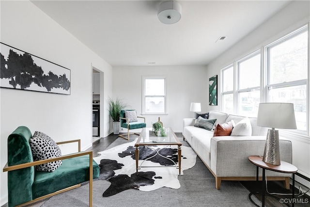 living room with hardwood / wood-style floors