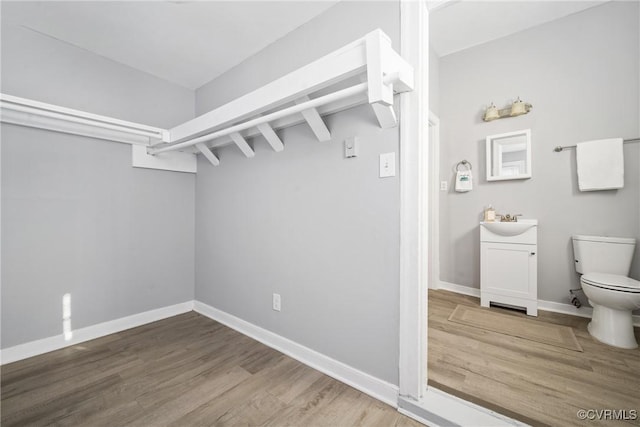 walk in closet featuring hardwood / wood-style flooring and sink