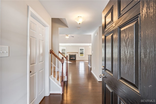 foyer featuring ceiling fan and dark wood-type flooring