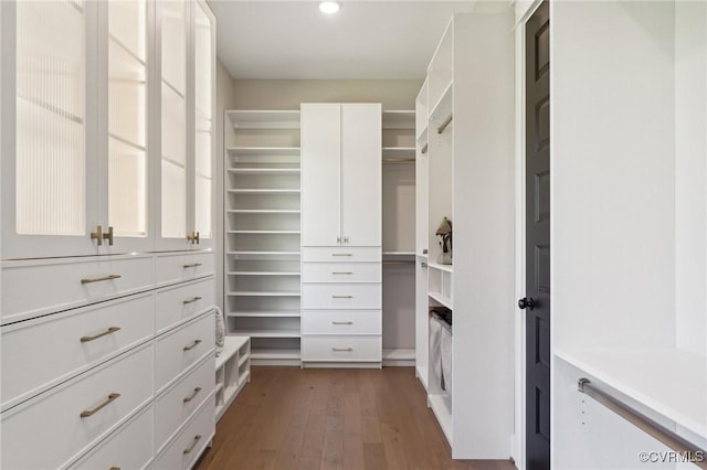 walk in closet featuring dark wood-type flooring