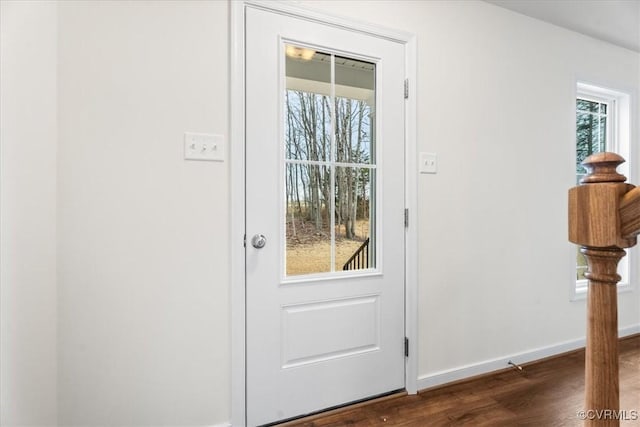 entryway featuring dark hardwood / wood-style floors and a healthy amount of sunlight