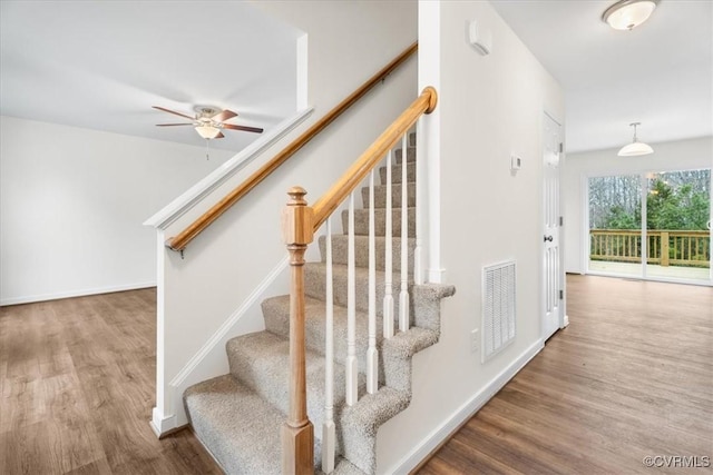 staircase with ceiling fan and hardwood / wood-style flooring