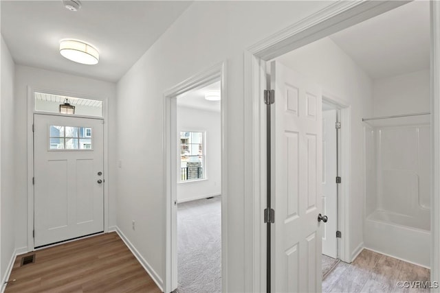 entrance foyer featuring light hardwood / wood-style floors and plenty of natural light