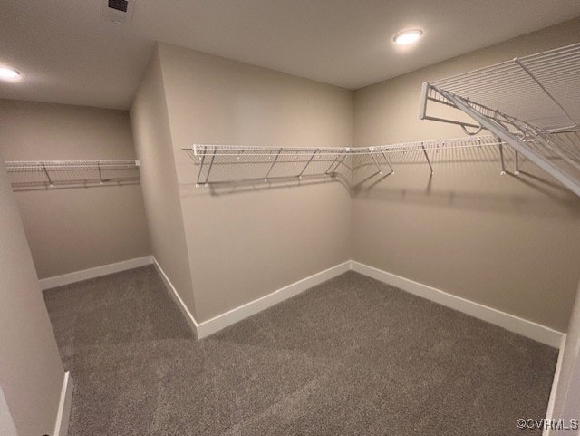 TBD1 Park St, Ashland, VA 23005 - walk in closet with carpet floors