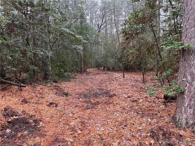 Listing photo 3 for 0-19 Rocky Nck, Mollusk VA 22503