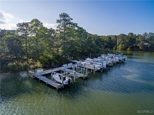 dock area with a water view