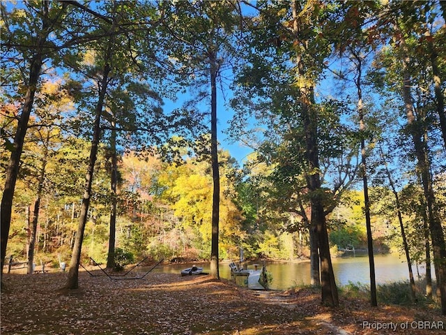 view of yard featuring a water view