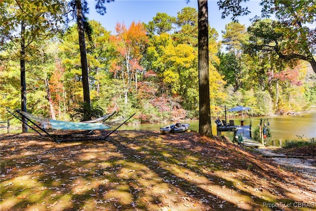 view of yard featuring a water view and a boat dock