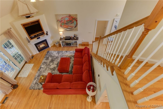 living room featuring hardwood / wood-style flooring