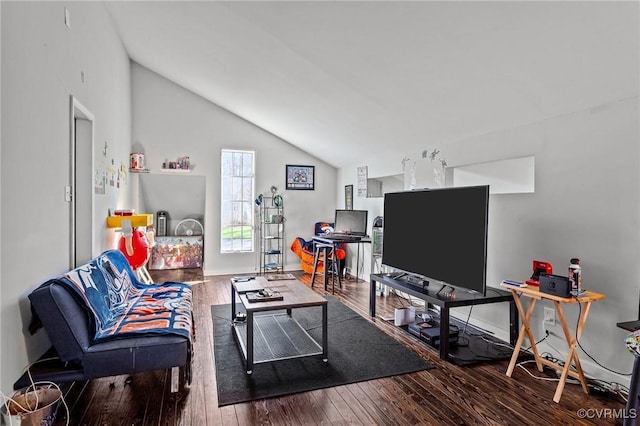 living room with wood-type flooring and lofted ceiling