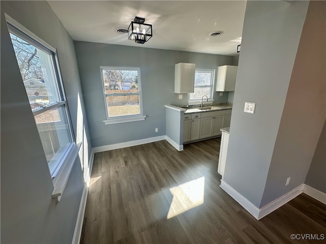 unfurnished dining area featuring dark hardwood / wood-style flooring and sink